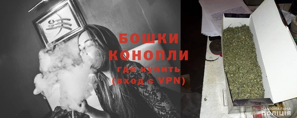 PSILOCYBIN Алексеевка