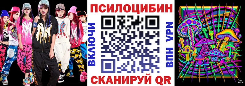 как найти Миньяр Галлюциногенные грибы Cubensis